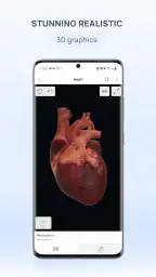 VOKA 3D Anatomy and Physiology 3
