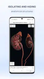 VOKA 3D Anatomy and Physiology 4