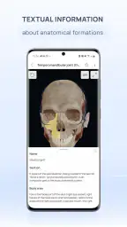 VOKA 3D Anatomy and Physiology 5