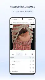 VOKA 3D Anatomy and Physiology 6