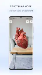 VOKA 3D Anatomy and Physiology 8