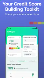 Vola: Cash Advance & Credit 3