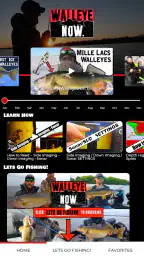 Walleye Now 1