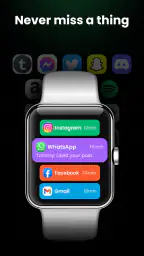 Watch Sync App - BT Notifier 5