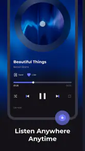 WaveFlow – Offline Music screenshot