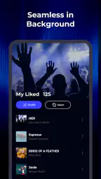 WaveFlow – Offline Music 3
