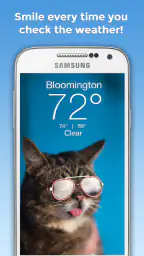 Weather BUB 1