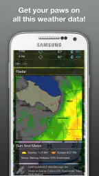 Weather BUB 5