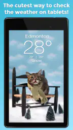 Weather BUB 8