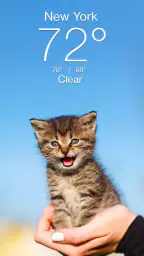 Weather Kitty - App & Widget 1