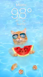 Weather Kitty - App & Widget 2