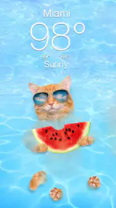 Weather Kitty - App & Widget screenshot