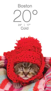 Weather Kitty - App & Widget screenshot