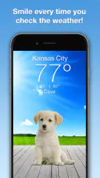 Weather Puppy - App & Widget 1