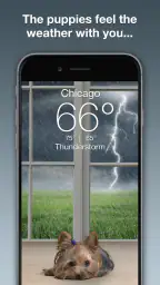 Weather Puppy - App & Widget 2