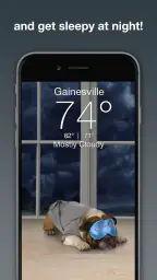 Weather Puppy - App & Widget 3