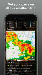 Weather Puppy - App & Widget 4