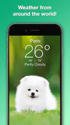 Weather Puppy - App & Widget 7