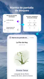 WeatherPop Español (Aviso) 8