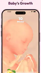 WeMoms Pregnancy Baby Tracker 2