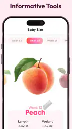 WeMoms Pregnancy Baby Tracker 7