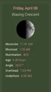 What The Forecast screenshot