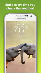 Wildlife Weather 1