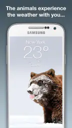 Wildlife Weather 2
