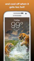 Wildlife Weather 3