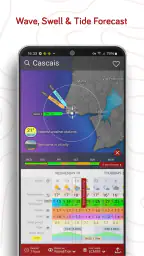 Windy.com - Weather Forecast 5