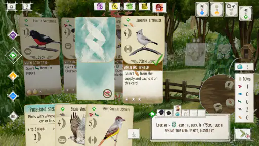 Wingspan: The Board Game 7
