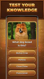 Wood Quiz Blast: Trivia Blocks 2