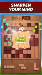 Woody 99 - Sudoku Block Puzzle 1