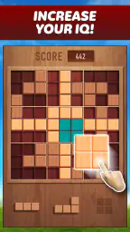 Woody 99 - Sudoku Block Puzzle 2