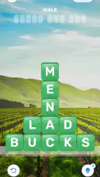 Word Games: CrossWord & Search 6