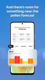 Yandex Weather & Rain Radar 3
