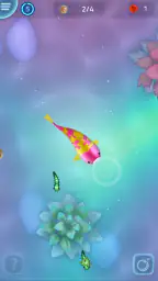 Zen Koi Pro 3