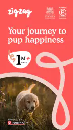 Zigzag - Dog & Puppy Training 1