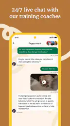 Zigzag - Dog & Puppy Training 5