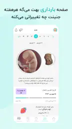 گهواره تربیت کودک و بارداری 1