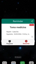 Reminder Pro: Recordatorio 3