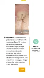Mosquito Alert 5