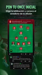 Fanalysis - Opinión de fans 6