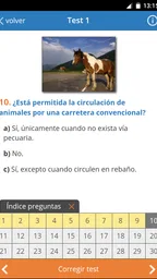 Todotest: Test de conducir 1