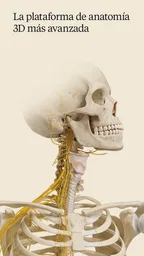 Complete Anatomy 1