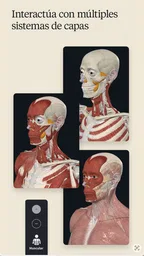 Complete Anatomy 2