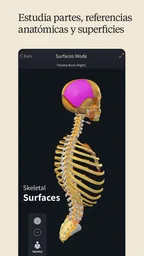 Complete Anatomy 4