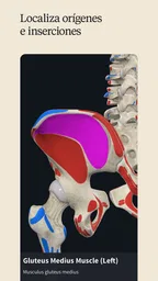 Complete Anatomy 5