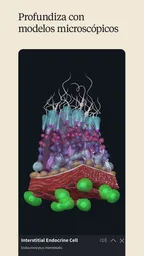 Complete Anatomy 7