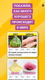 AdMe 4